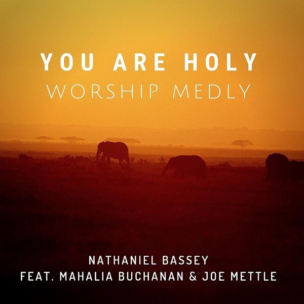 You are Holy - Joe Mettle lyrics