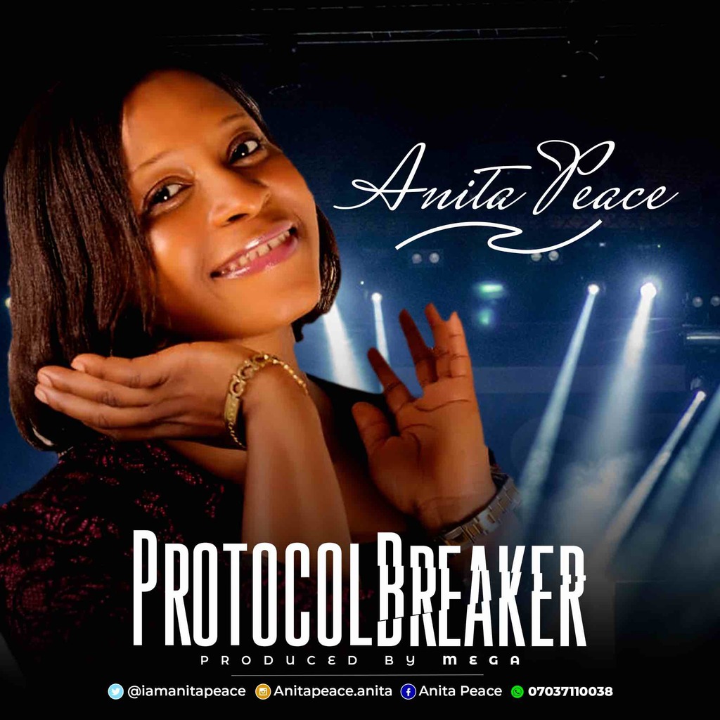 Album Protocol Breaker - Anita Peace