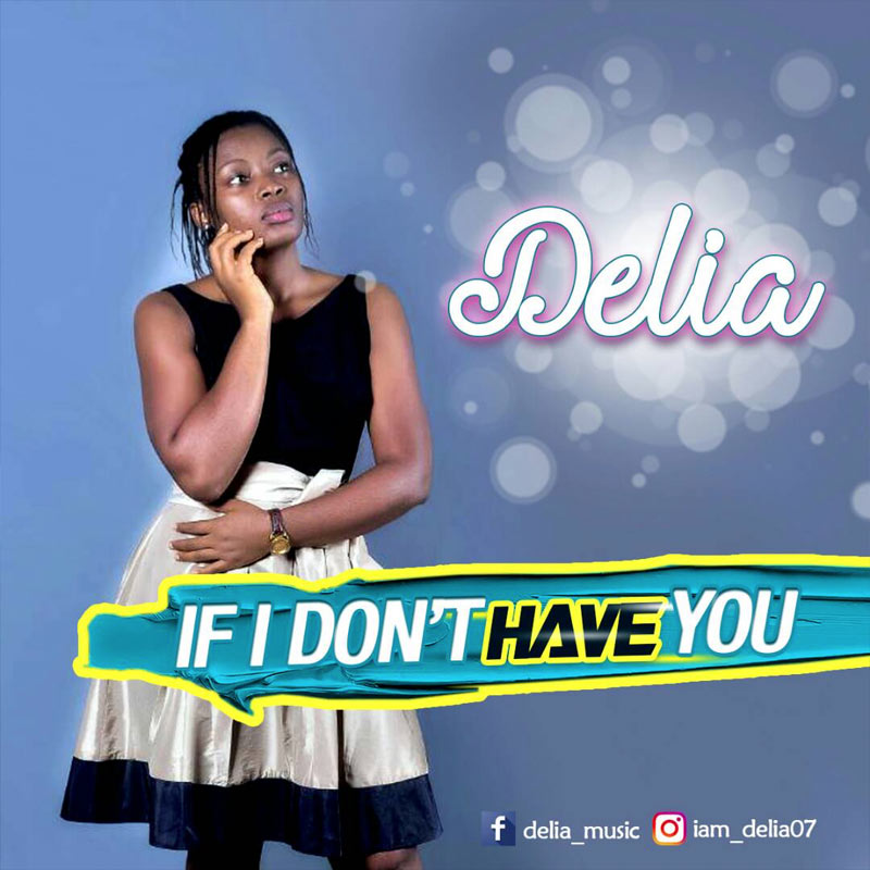 Album If I Don't Have You - Delia