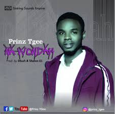 Na Wondah - Prinz TGee lyrics