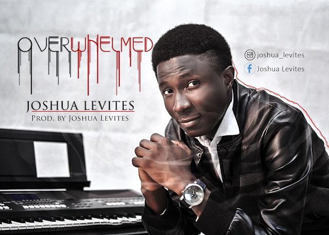 Album Overwhelmed - Joshua Levites