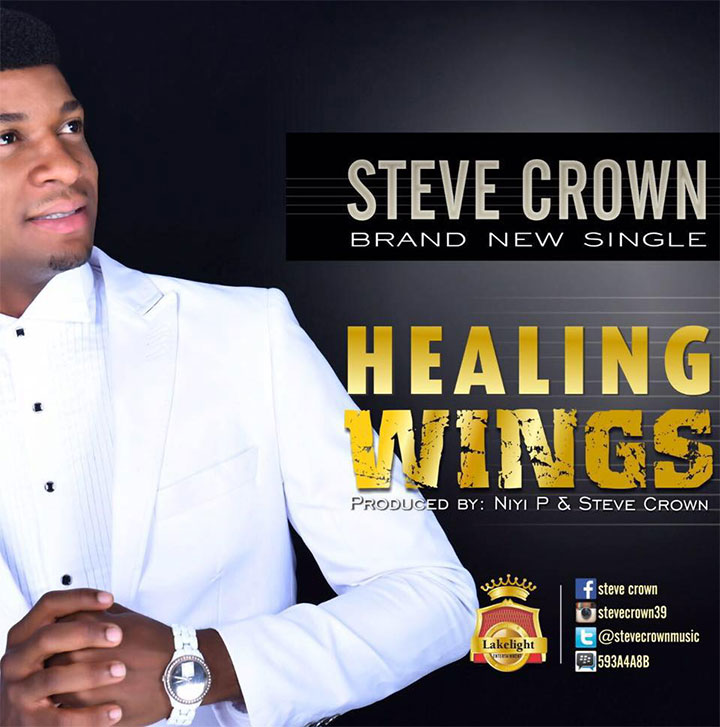 Album Healing Wings - Steve Crown