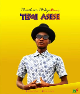 Album Temi Asese - Oluwabunmi Oladejo